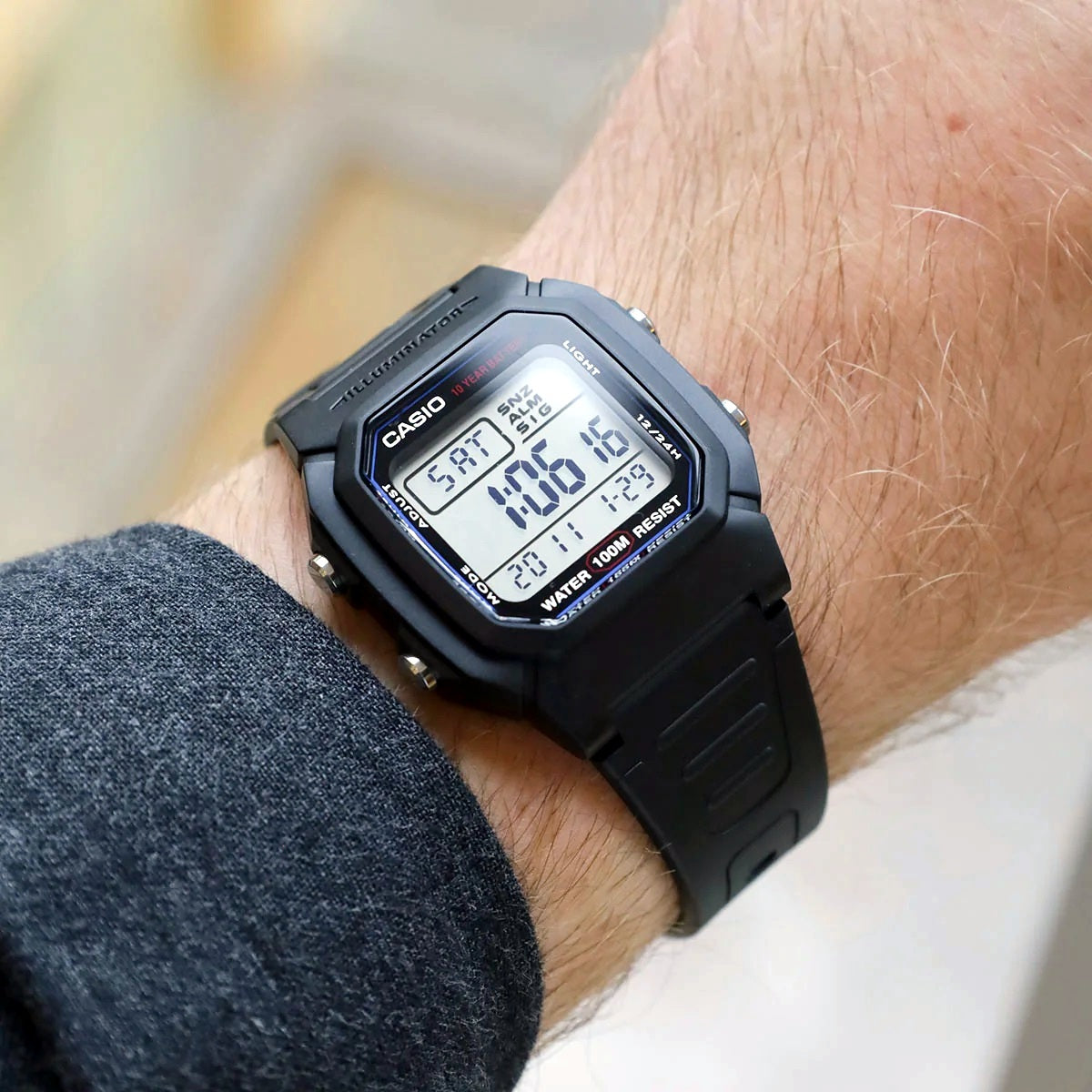 Casio W-800H-1AVDF Watch